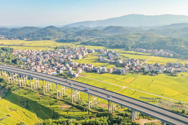 田园 金秋 水稻 稻田 丰收 美丽乡村 村庄