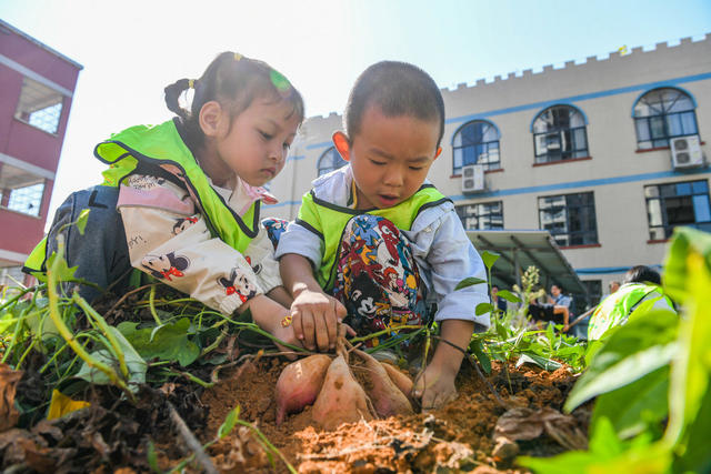 世界粮食日
道县
学生
幼儿园
教科文卫
