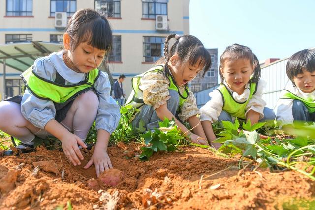 世界粮食日
道县
学生
幼儿园
教科文卫

