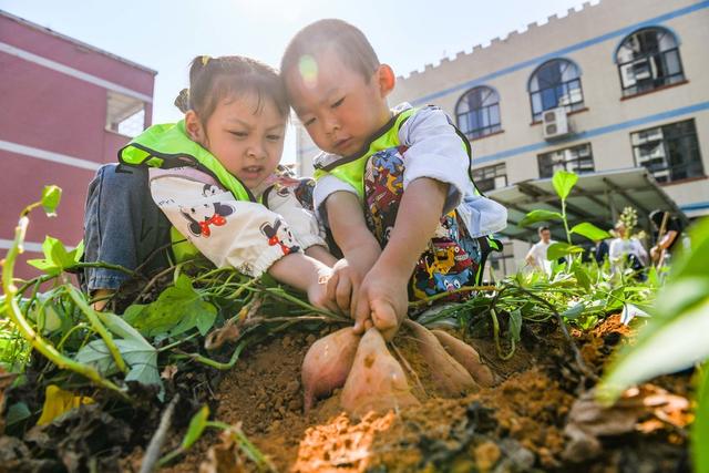 世界粮食日
道县
学生
幼儿园
教科文卫

