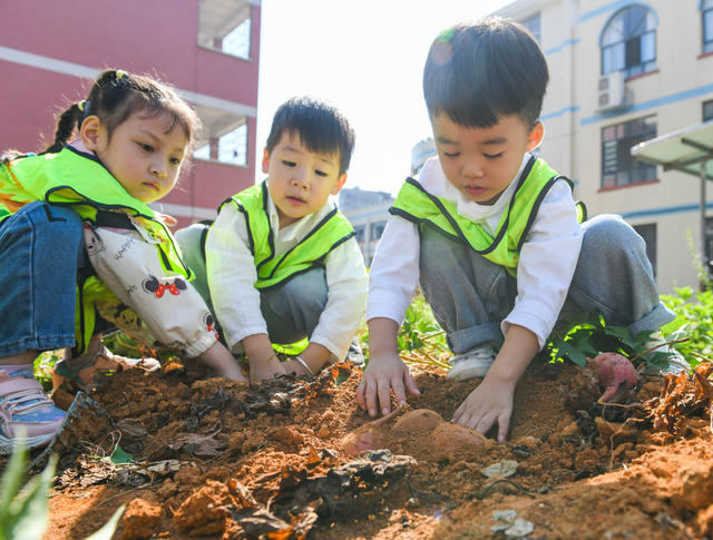 世界粮食日
道县
学生
幼儿园
教科文卫

