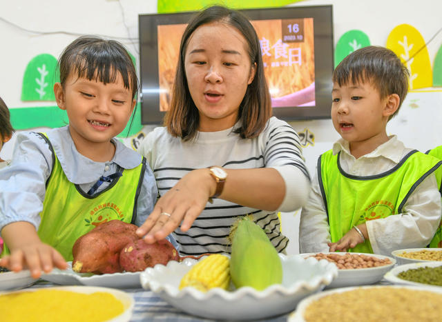 世界粮食日
道县
学生
幼儿园
教科文卫
