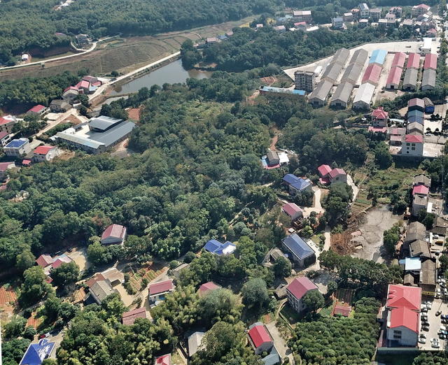 绿色口发展口穷村囗变口富村