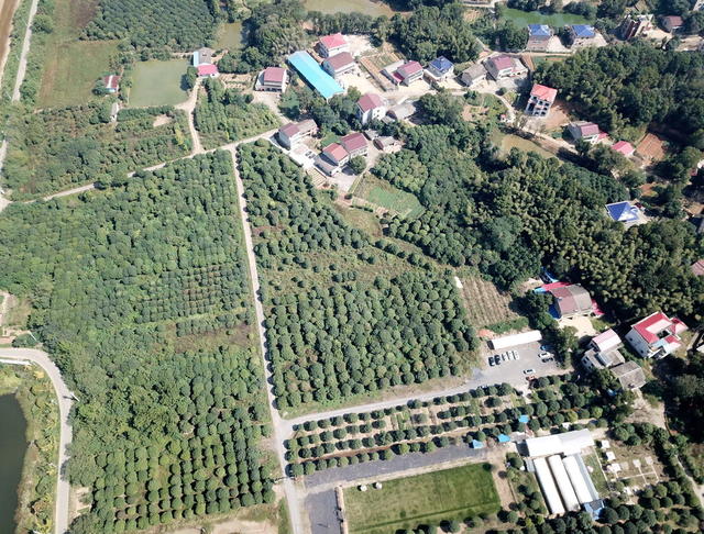 绿色口发展口穷村囗变口富村