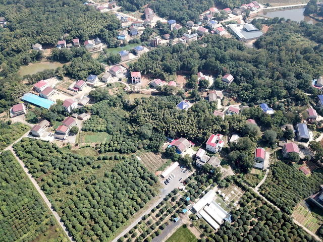 绿色口发展口穷村囗变口富村