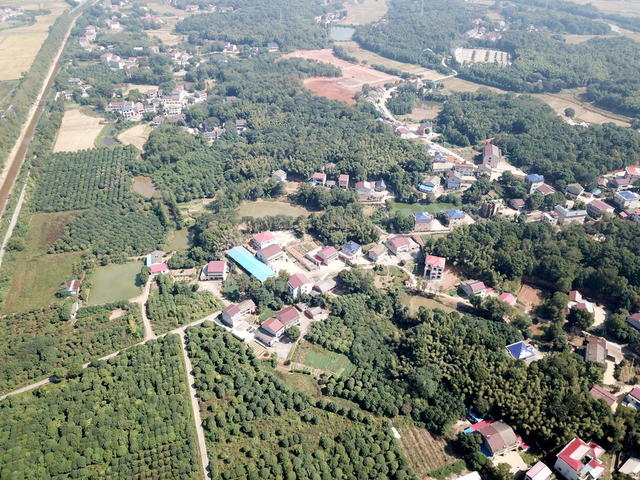 绿色口发展口穷村囗变口富村