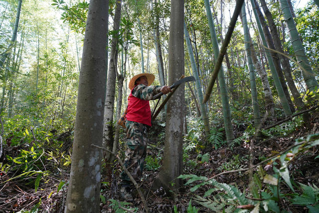 护林员  巡山  湿地  林区  保护 生态