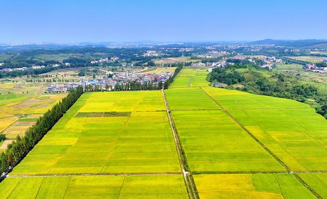 湖南  常宁  乡村  美景