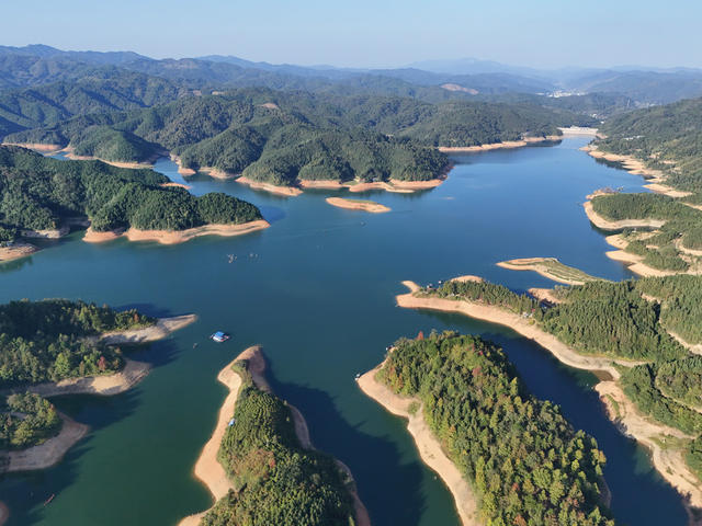 护林员  巡山  湿地  林区  保护 生态