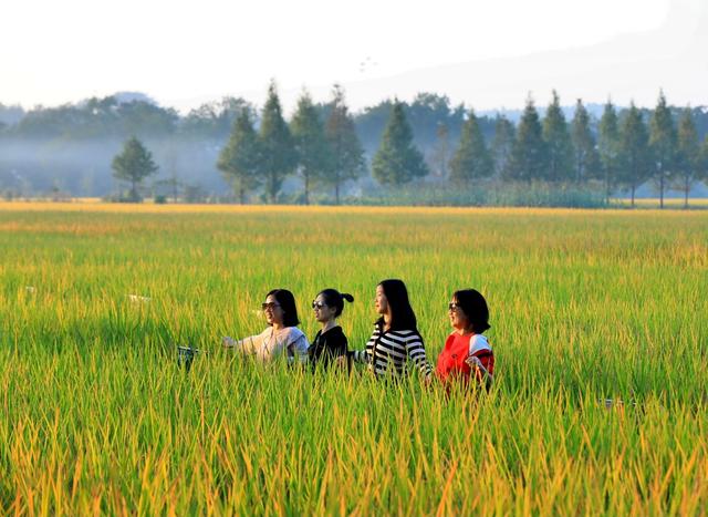 湖南  常宁  乡村  美景