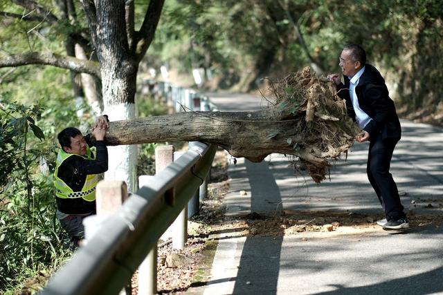 交通、出行安全、农村公路、清路障、志愿服务