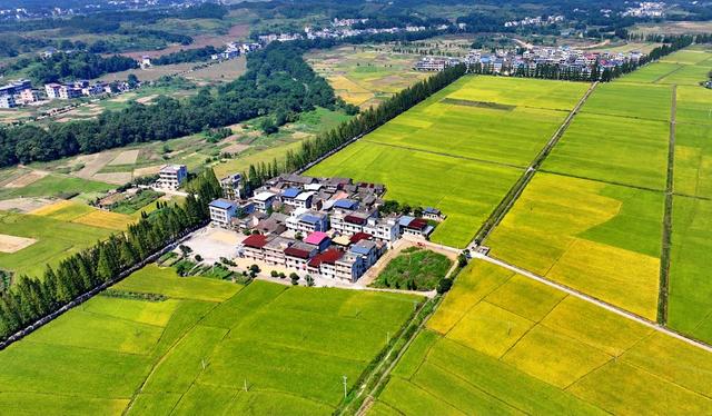 湖南  常宁  乡村  美景