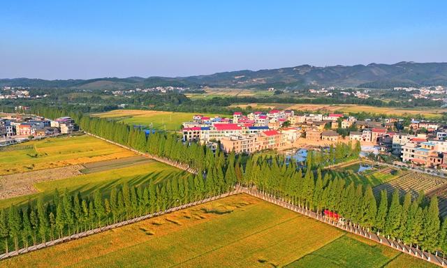 湖南  常宁  乡村  美景