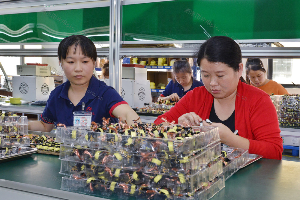 外贸订单生产忙
