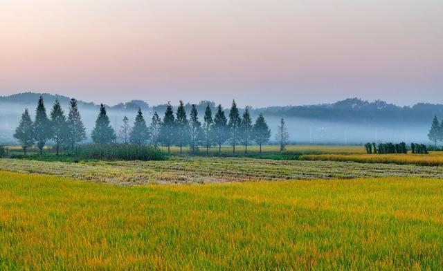 湖南  常宁  乡村  美景