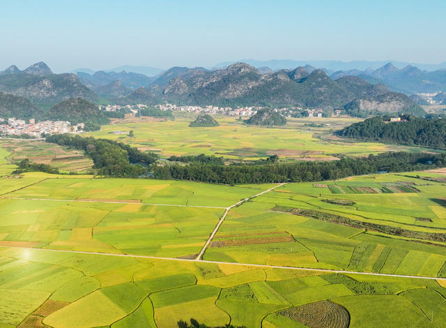 丰收
画卷
金秋
田园
