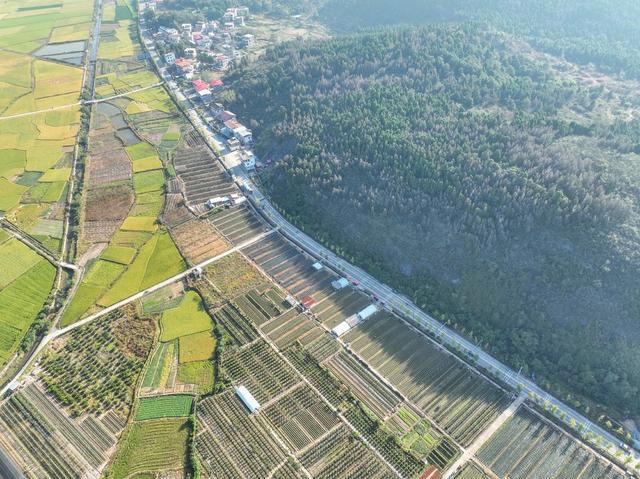 农业
田园
秋色
特色种植