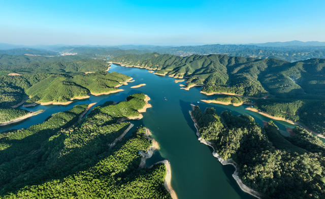 林长制 护林员 绿水 青山