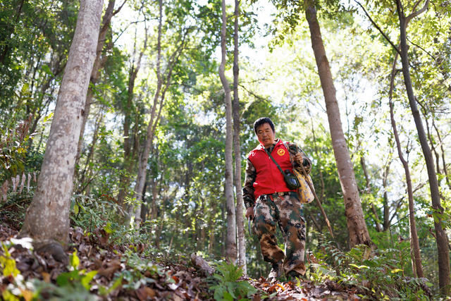 林长制 护林员 绿水 青山