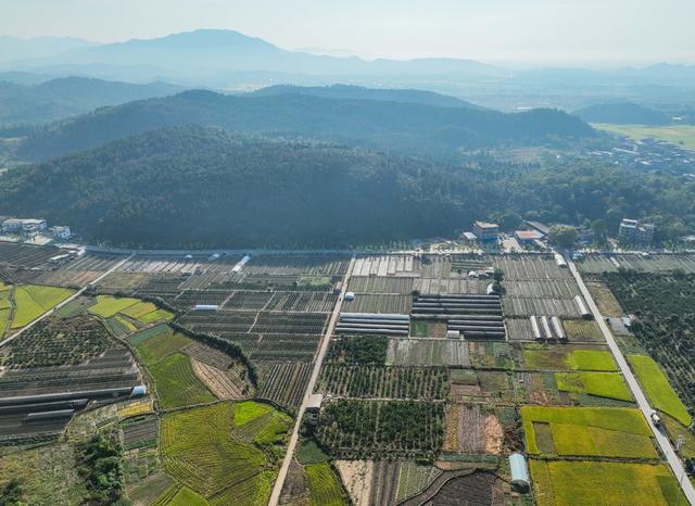 农业
田园
秋色
特色种植