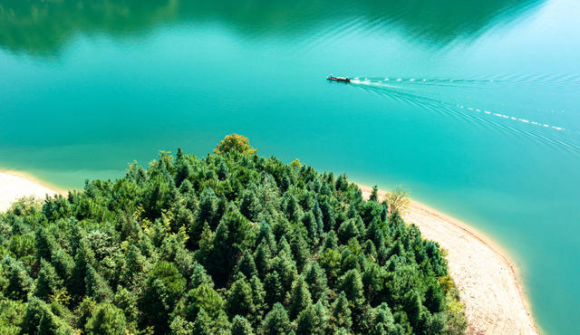 林长制 护林员 绿水 青山