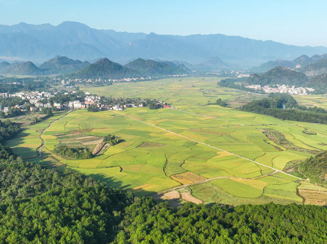 丰收
画卷
金秋
田园
