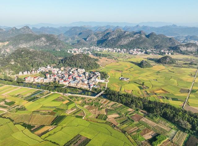 丰收
画卷
金秋
田园
