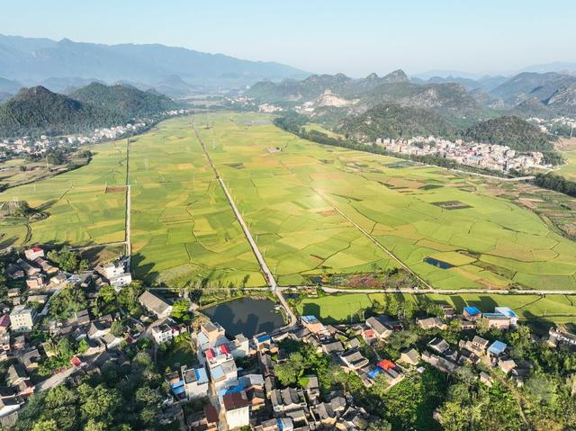 丰收
画卷
金秋
田园
