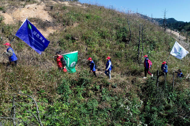 湖南桂东 “绿色卫士”  千年鸟道 候鸟 志愿者 巡山