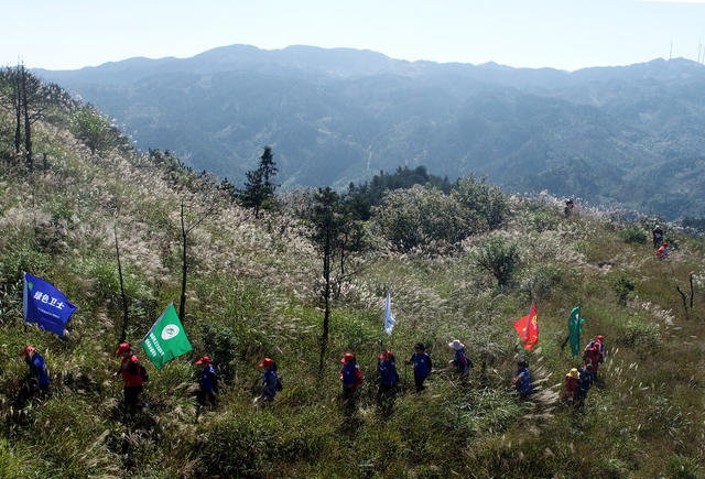 湖南桂东 “绿色卫士”  千年鸟道 候鸟 志愿者 巡山