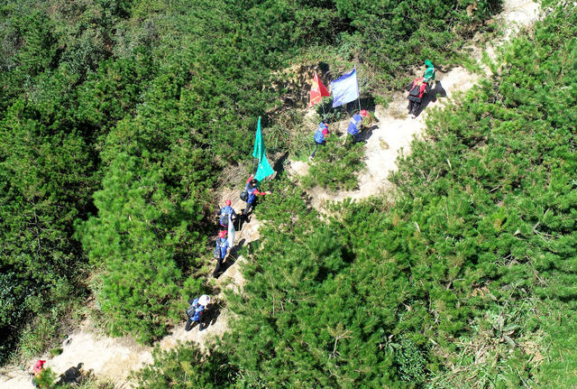 湖南桂东 “绿色卫士”  千年鸟道 候鸟 志愿者 巡山