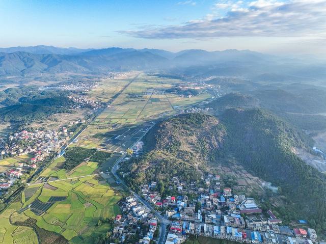 金秋  田园  晚稻  秋收  农业  道县