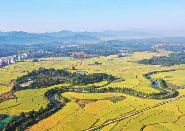 蓝山：多彩田园  美如画卷