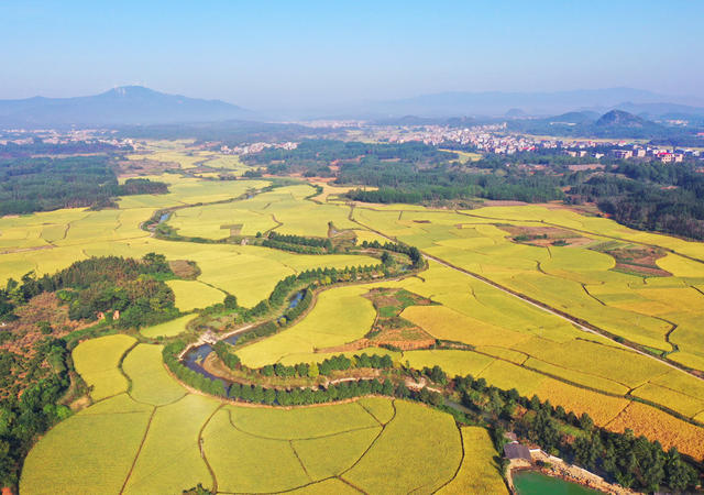 蓝山：多彩田园  美如画卷