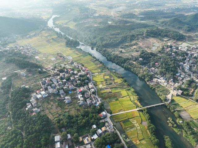 金秋  田园  晚稻  秋收  农业  道县