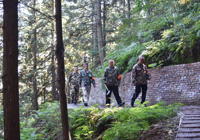 森林防火  高温  林场  林长制  预防  巡查