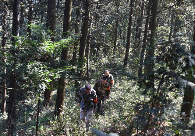森林防火  高温  林场  林长制  预防  巡查