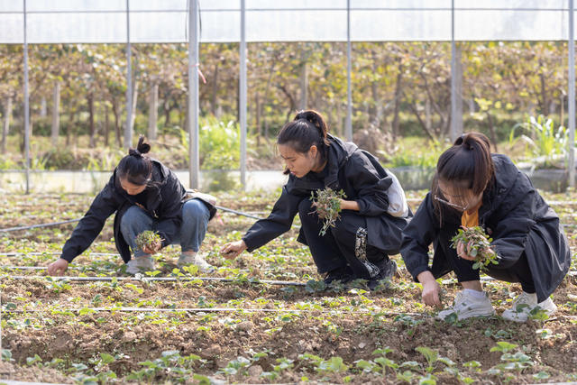 中青年干部培训班 学员 助农 实践