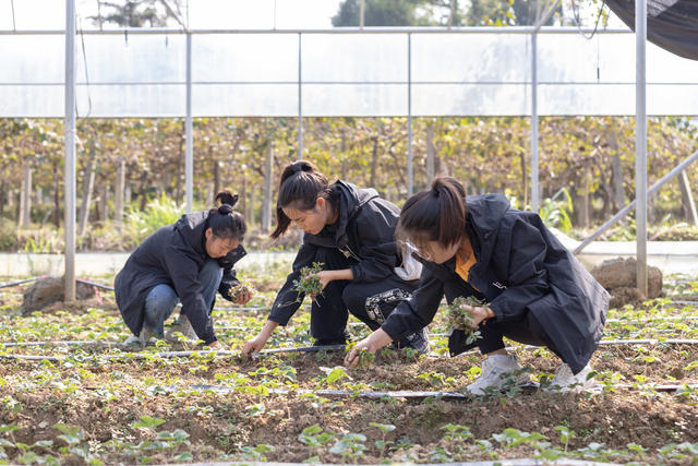 中青年干部培训班 学员 助农 实践