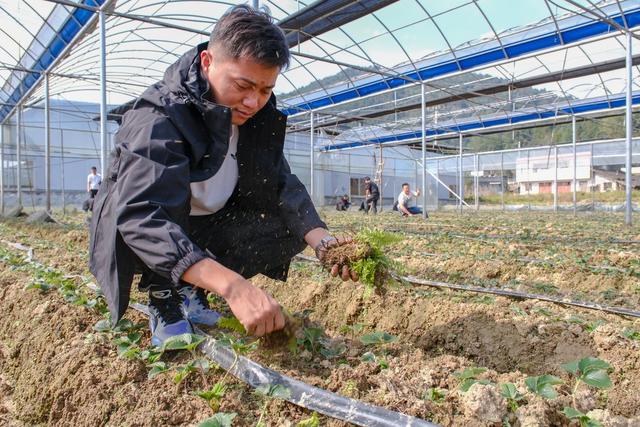 中青年干部培训班 学员 助农 实践