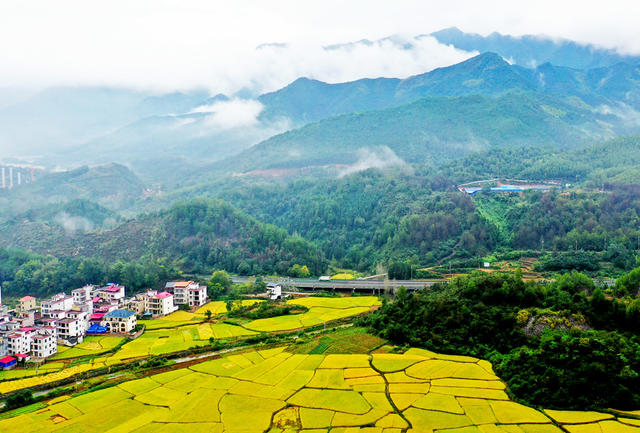 蓝山：金秋乡村入画来