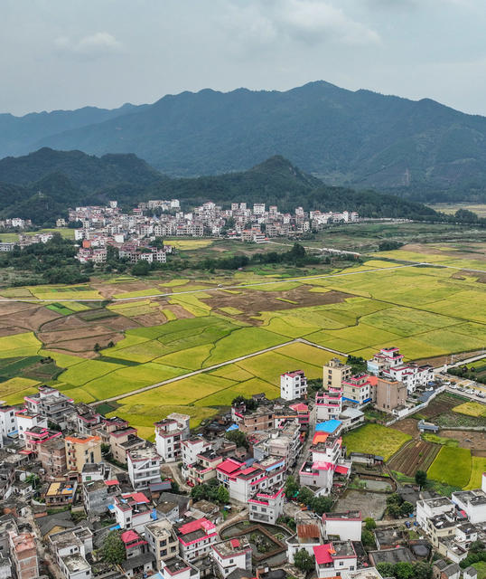 景区
农业
综合体
农旅
