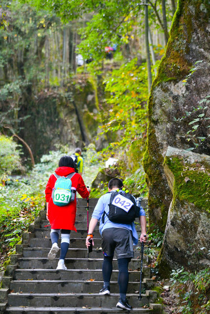 浏阳市 大围山国家级森林公园 徒步