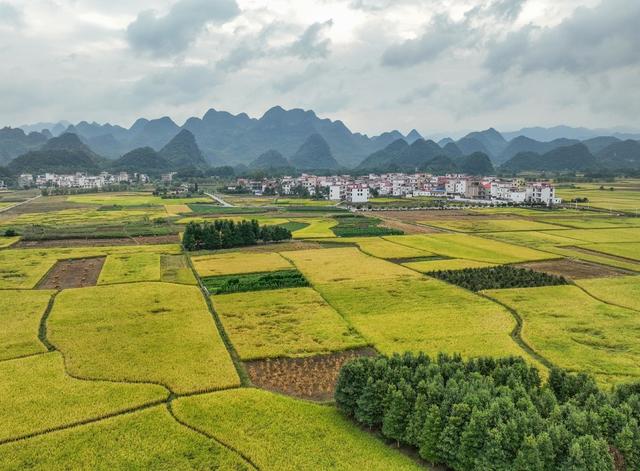 景区
农业
综合体
农旅
