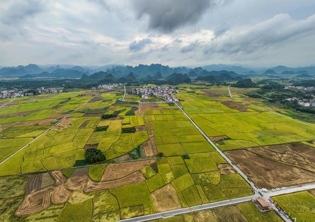 景区
农业
综合体
农旅
