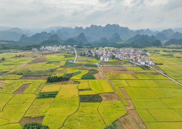 景区
农业
综合体
农旅
