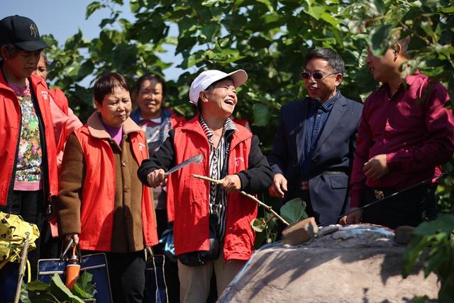 农技推广、农民培训、教学、农业、乡村