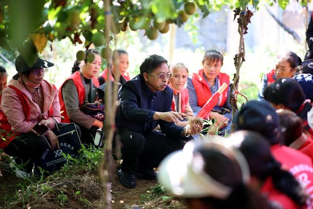 农技推广、农民培训、教学、农业、乡村