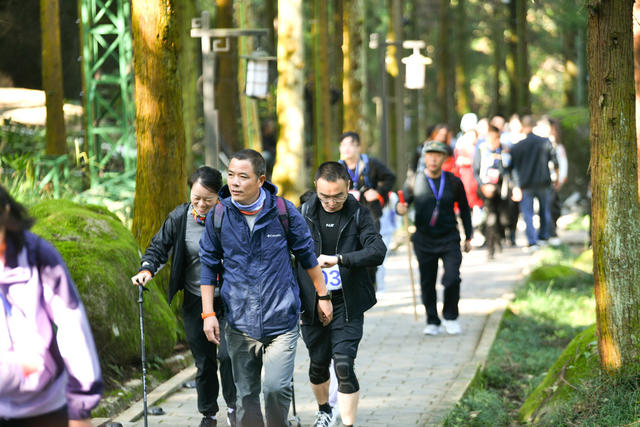 浏阳市 大围山国家级森林公园 徒步