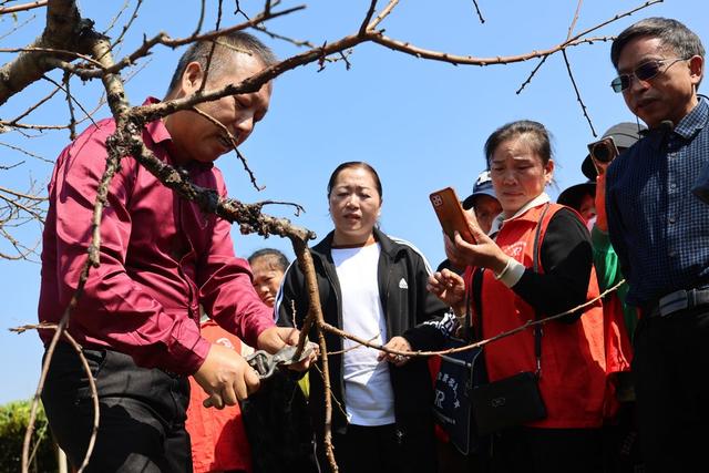 农技推广、农民培训、教学、农业、乡村